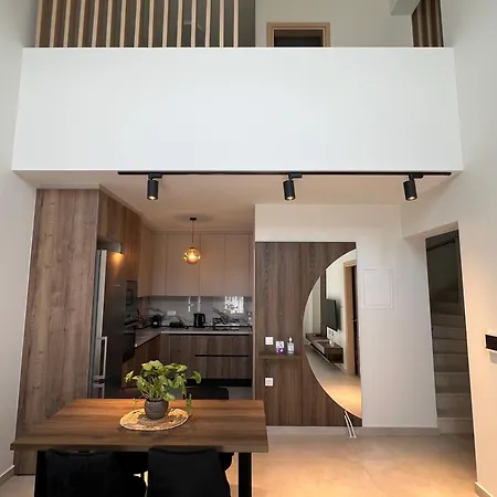 Hasi Two Bedroom Duplex Nea Moudania