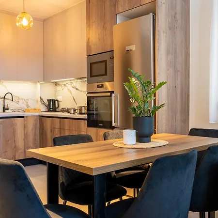 Hasi Two Bedroom Duplex Apartament Nea Moudania