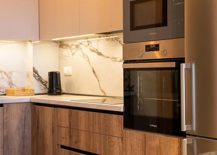 Hasi Two Bedroom Duplex Nea Moudania
